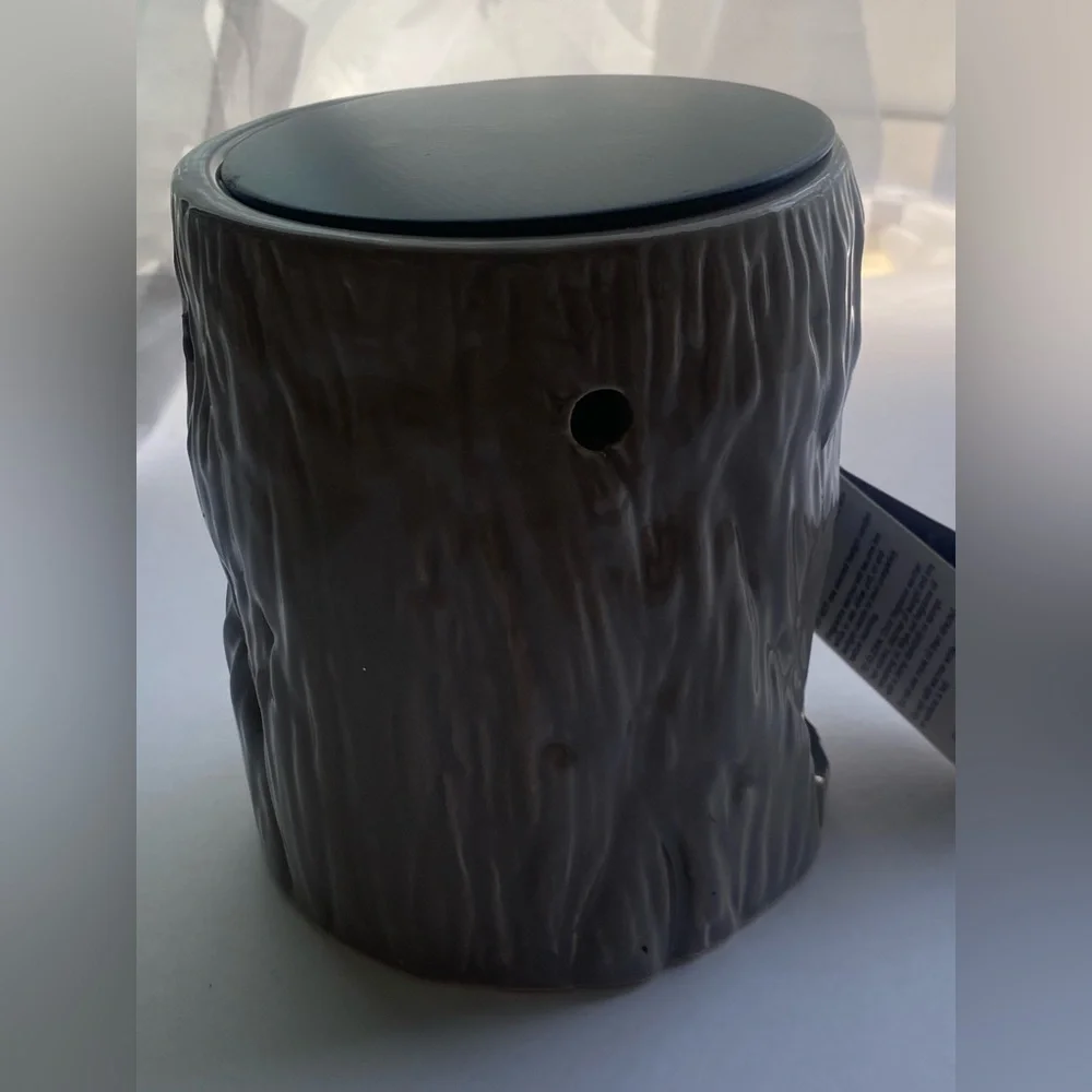 Pier 1 imports fragrance warmer NWT